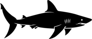Shark Swimming Silhouette