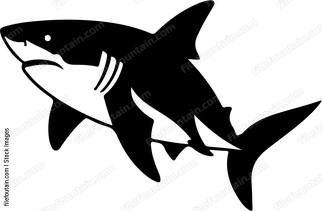 Shark Swimming Silhouette