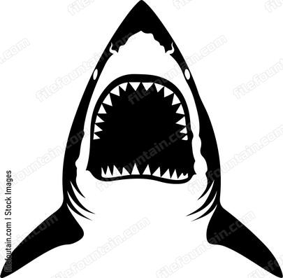 Shark Teeth