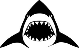 Shark Teeth