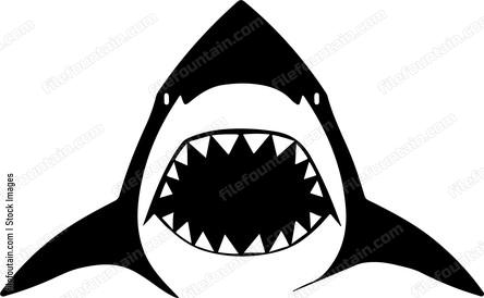 Shark Teeth