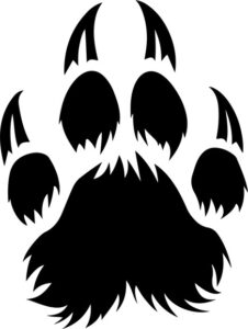 Sharp animal paw print