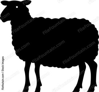 Sheep