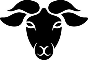 Sheep Design