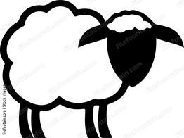 Sheep Design