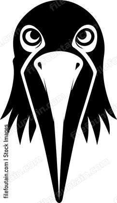 Shoebill Face