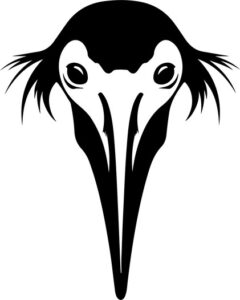 Shoebill Face