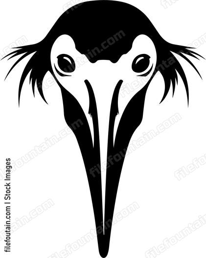Shoebill Face