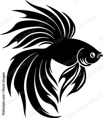 Siamese Fighting Fish