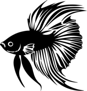 Siamese Fighting Fish