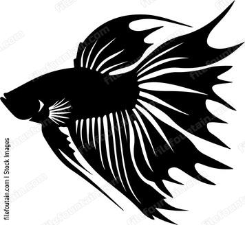 Siamese Fighting Fish