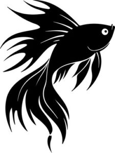 Siamese Fighting Fish