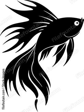 Siamese Fighting Fish