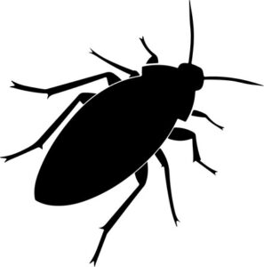 silhouette of cockroach