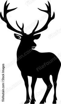 silhouette of deer