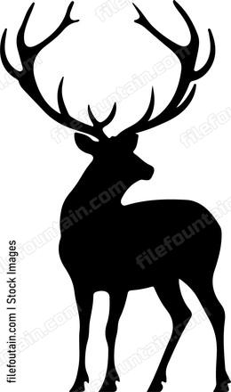 silhouette of deer