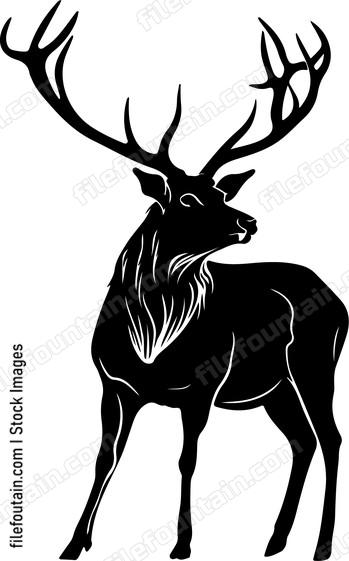 silhouette of deer