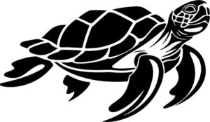 silhouette of seturtle