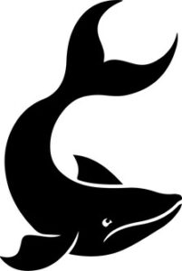 silhouette of whale jumping out of the water