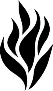 Single Flame