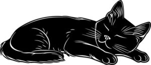 Sleeping Cat