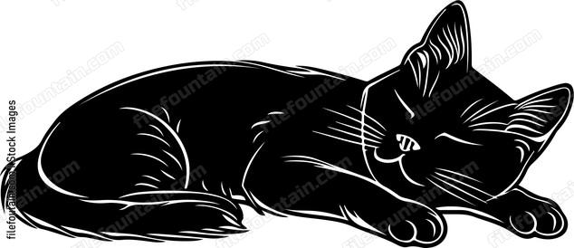 Sleeping Cat