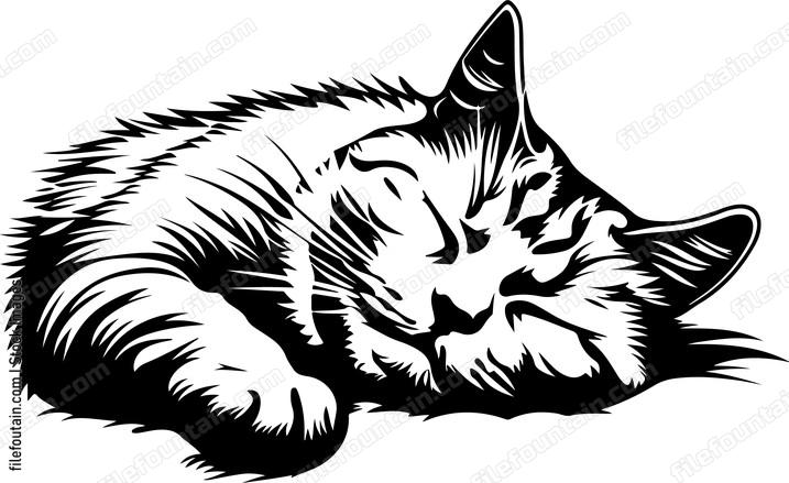 Sleeping Cat