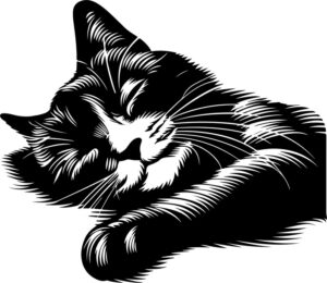 Sleeping Cat