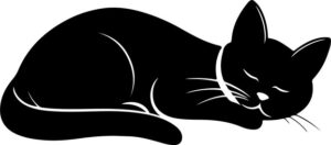 Sleeping Cat