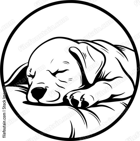 Sleeping Dog