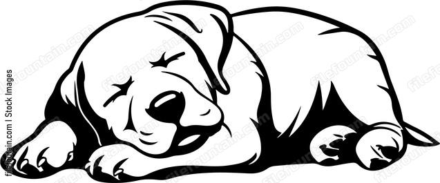 Sleeping Dog