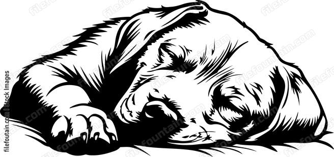 Sleeping Dog