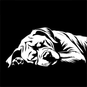Sleeping Dog
