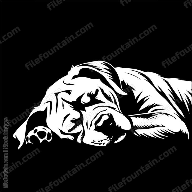 Sleeping Dog