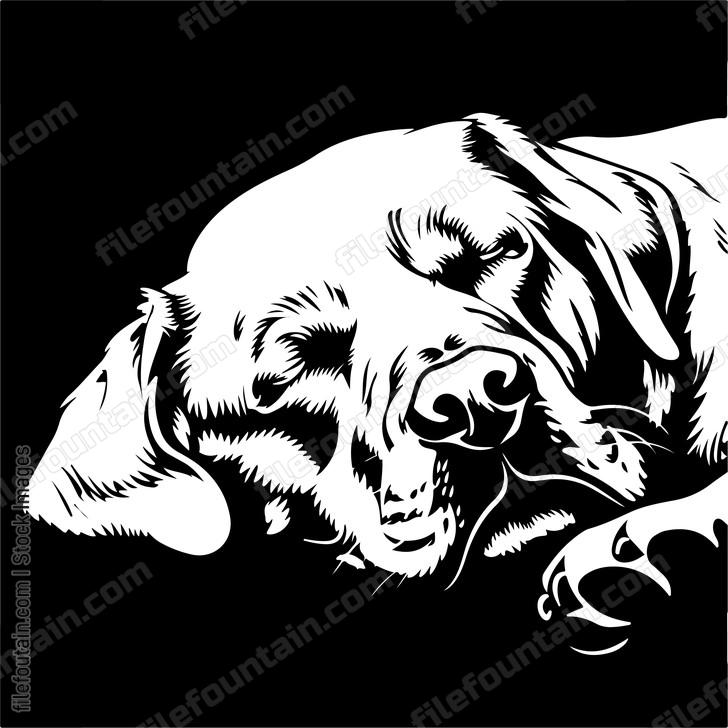 Sleeping Dog