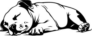 Sleeping Dog