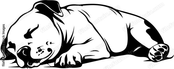 Sleeping Dog