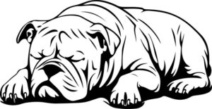 Sleeping Dog