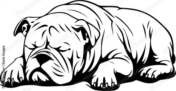 Sleeping Dog