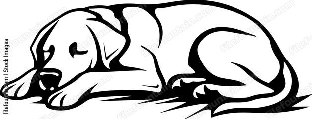 Sleeping Dog