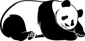 Sleeping Giant Panda