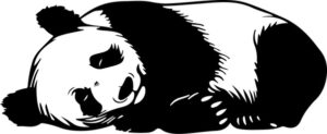 Sleeping Giant Panda