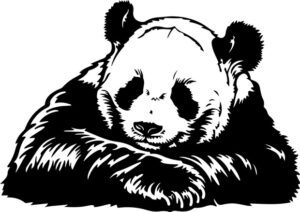 Sleeping Giant Panda