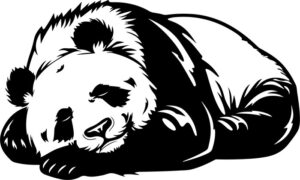 Sleeping Panda