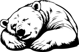 Sleeping Polar Bear