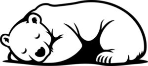 Sleeping Polar Bear