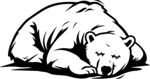 Sleeping Polar Bear