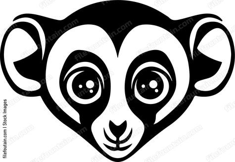 Slow Loris