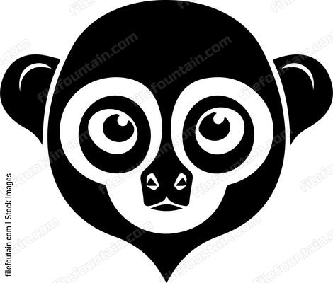 Slow Loris