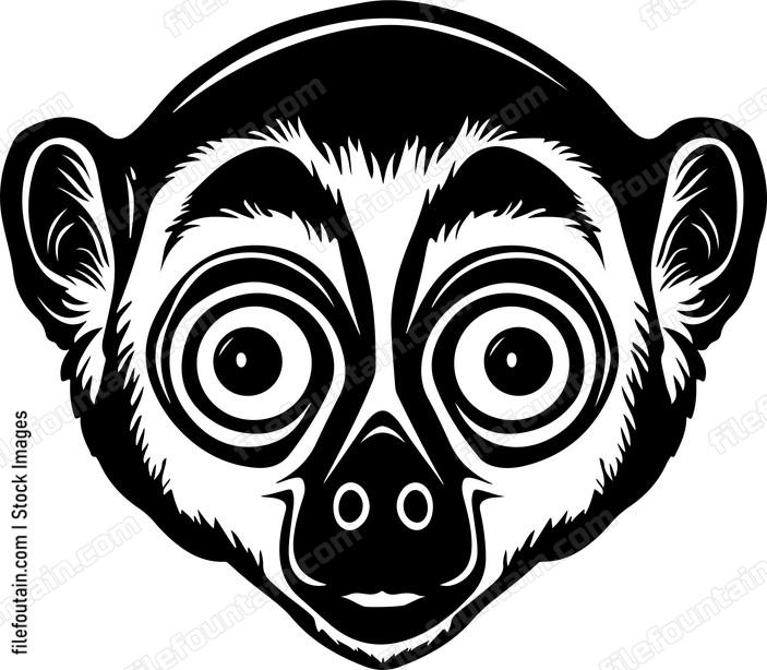 Slow Loris